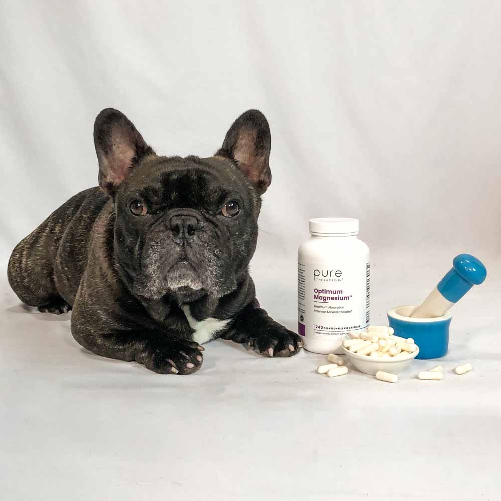 Dog ate outlet magnesium pill