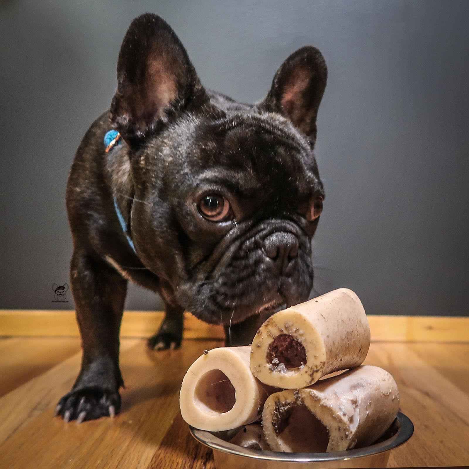 raw bones for french bulldogs