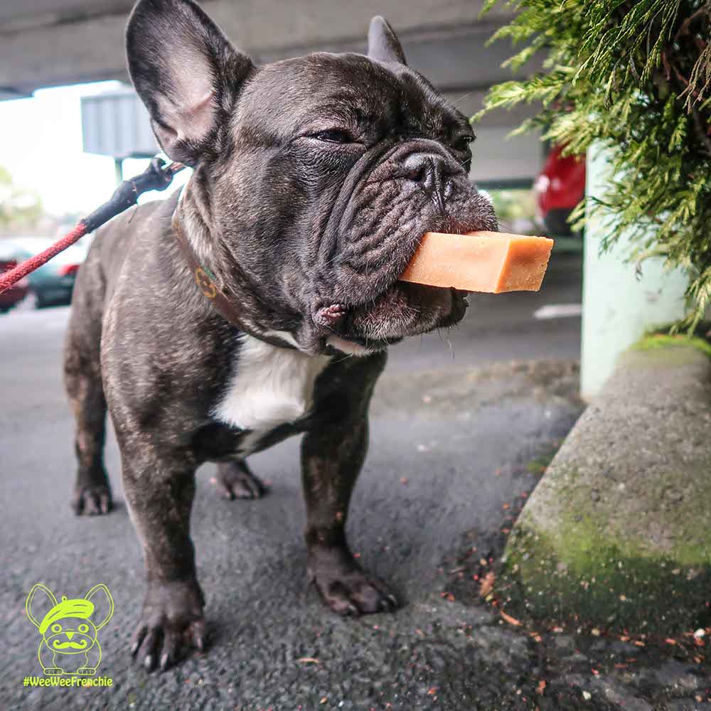 Himalayan cheese dog outlet chews