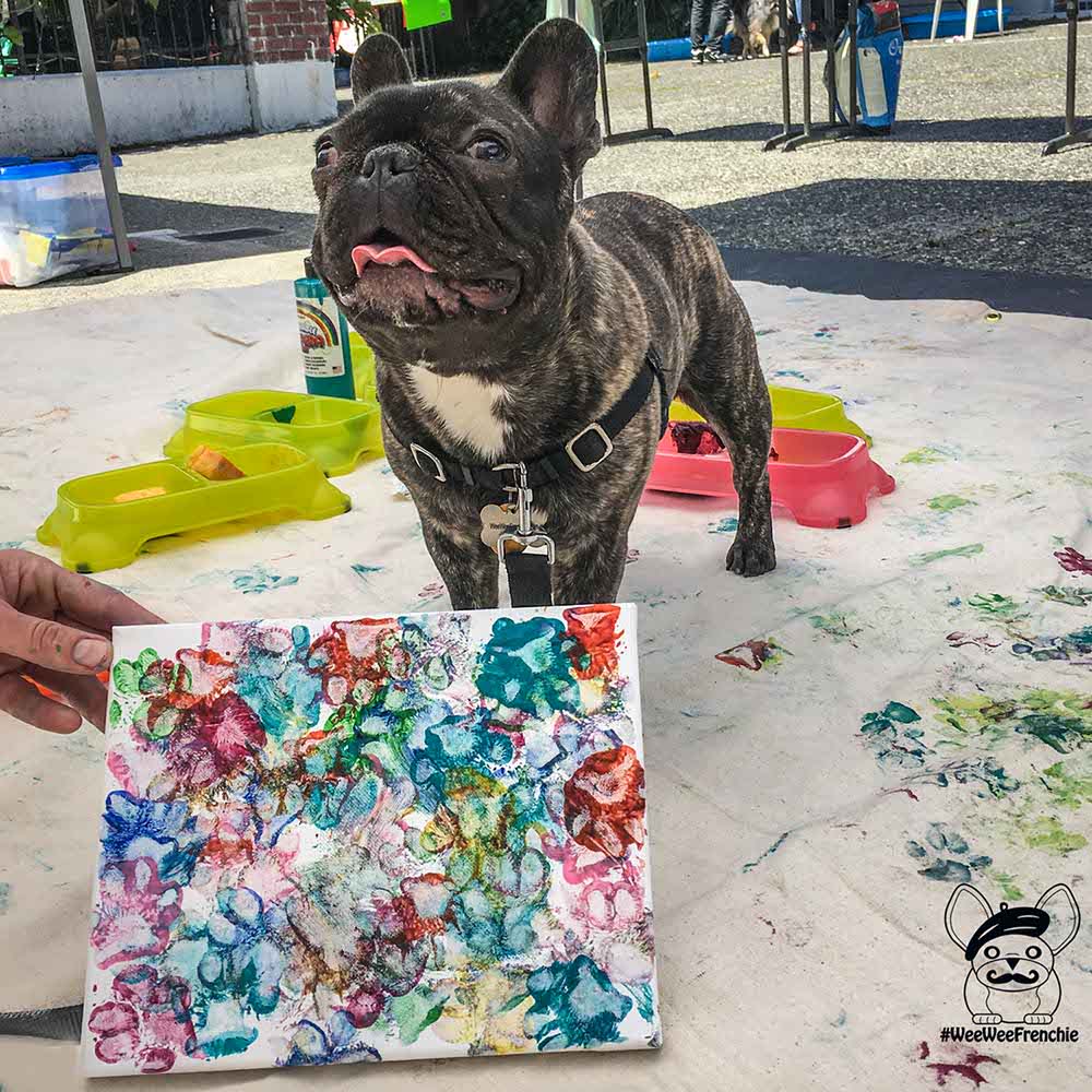How to Paw Paint with Your Dog