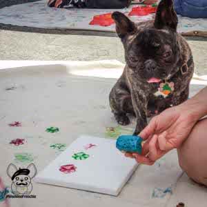 Paint With Your Dog