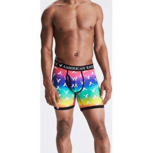 AEO Eggplants 4.5 Classic Boxer Brief