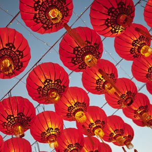 Lunar New Year Community Day Celebration