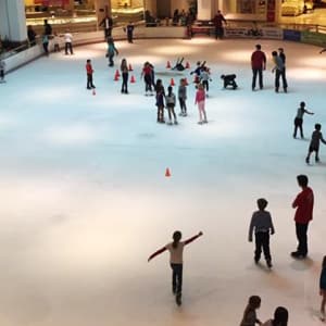 Learn to Skate at Tampa Bay Skating Academy