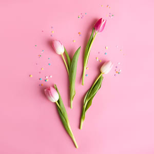 Easter Sunday Hours