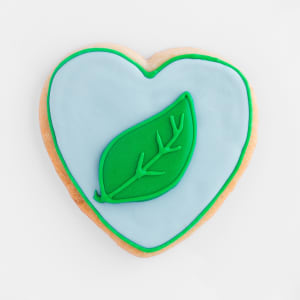 Celebrate Earth Day with Us